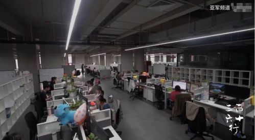 軟件服務之外的人生 流水線、群演與客服中的情感溫度